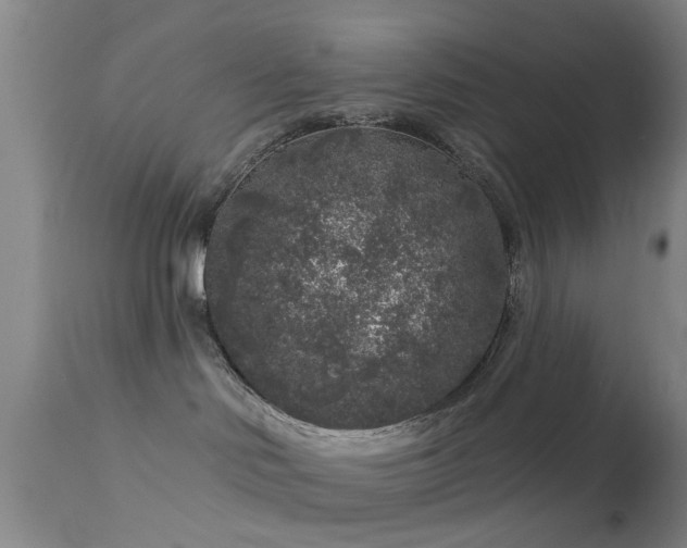 X0000113610046200909251153