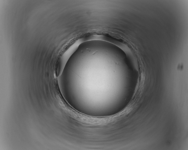 X0000113610048200909251153