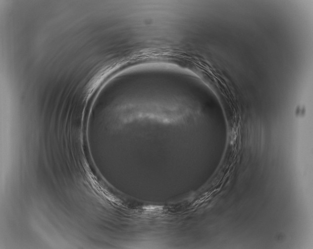 X0000113610052200909251152