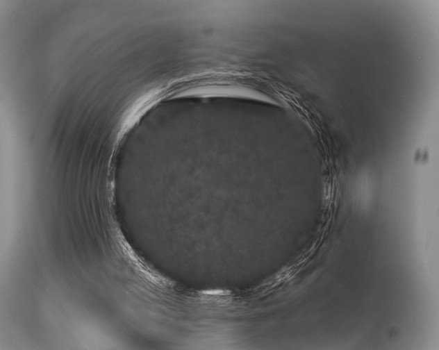 X0000113610053200909251152