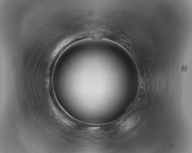 X0000113610054200909251152