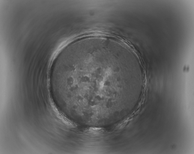 X0000113610055200909251152