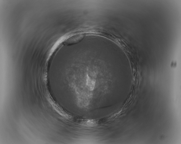 X0000113610056200909251152