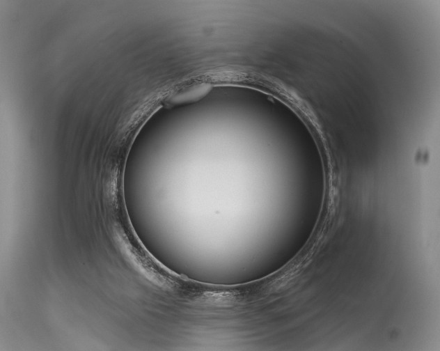 X0000113610057200909251152