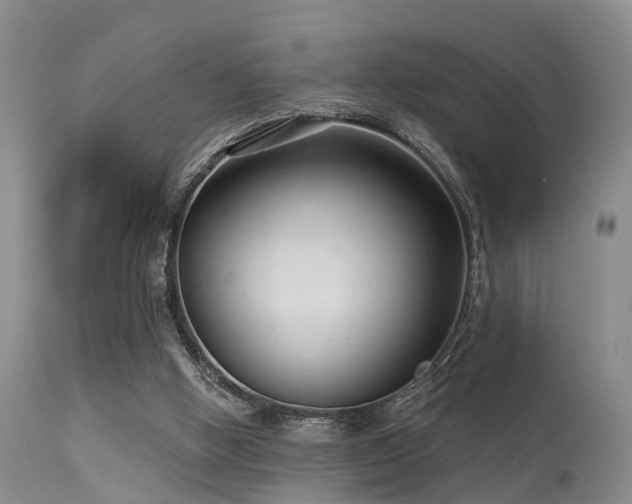 X0000113610058200909251152