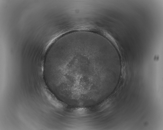 X0000113610059200909251152