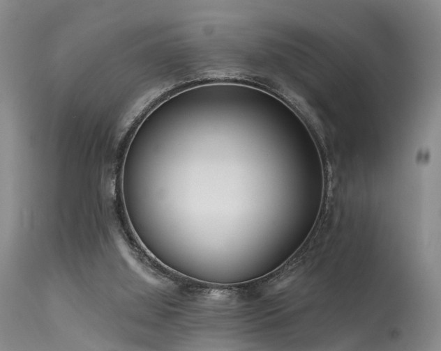 X0000113610060200909251152