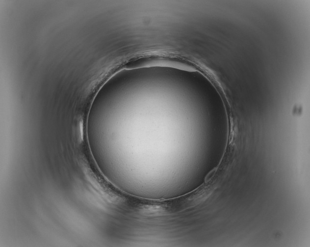 X0000113610061200909251152