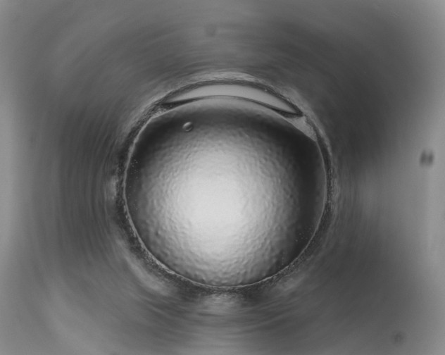 X0000113610063200909251152