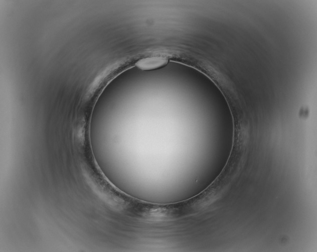 X0000113610064200909251152