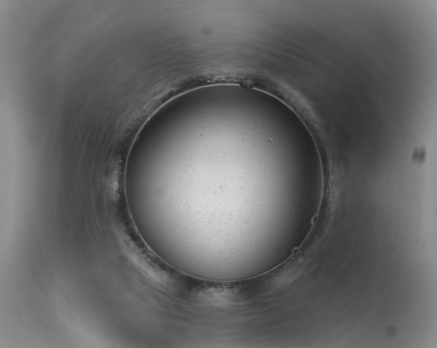 X0000113610065200909251152