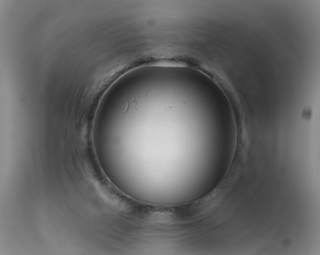 X0000113610066200909251152