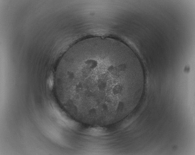 X0000113610069200909251152