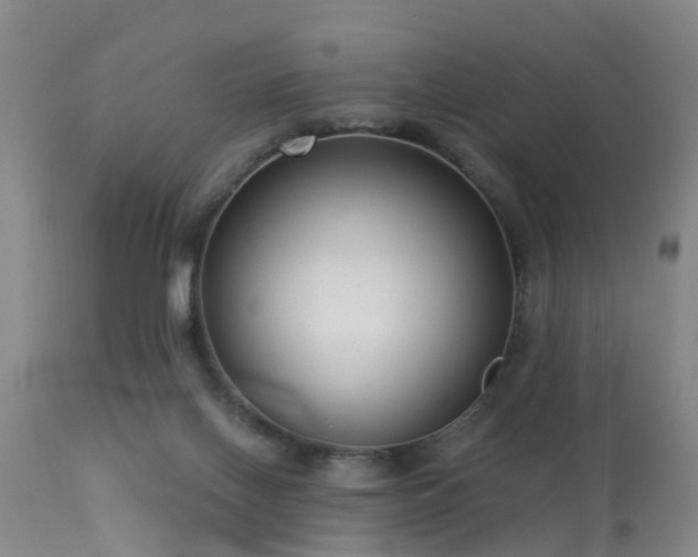 X0000113610070200909251152