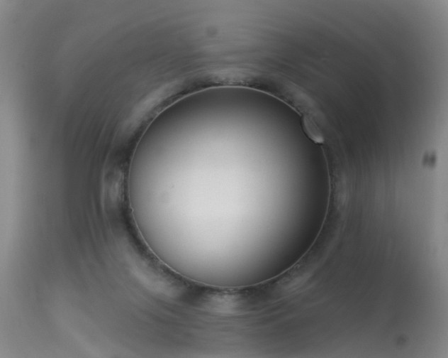 X0000113610071200909251152