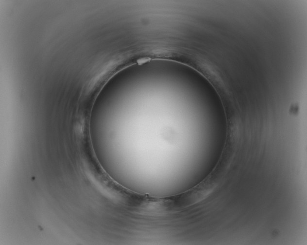 X0000113610072200909251152