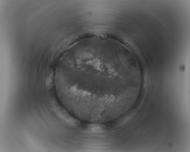 X0000113610073200909251152