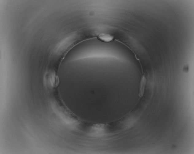 X0000113610076200909251152