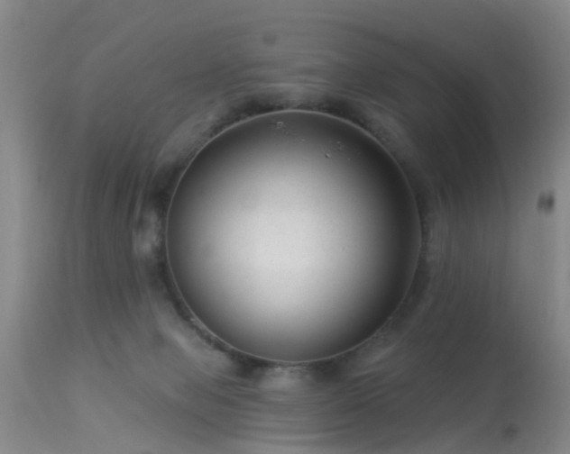 X0000113610077200909251152