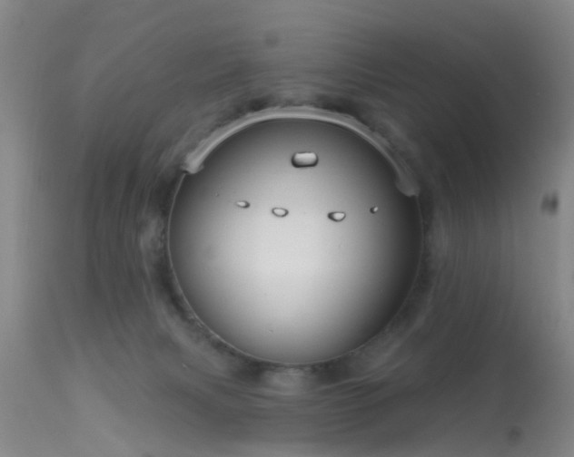 X0000113610079200909251152