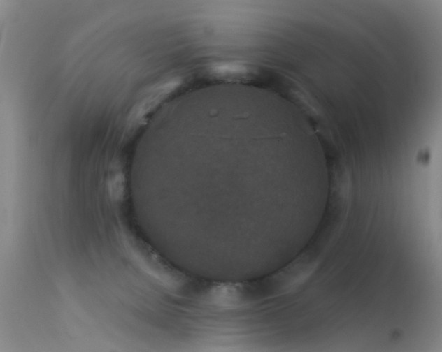 X0000113610080200909251153