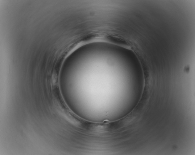 X0000113610081200909251153