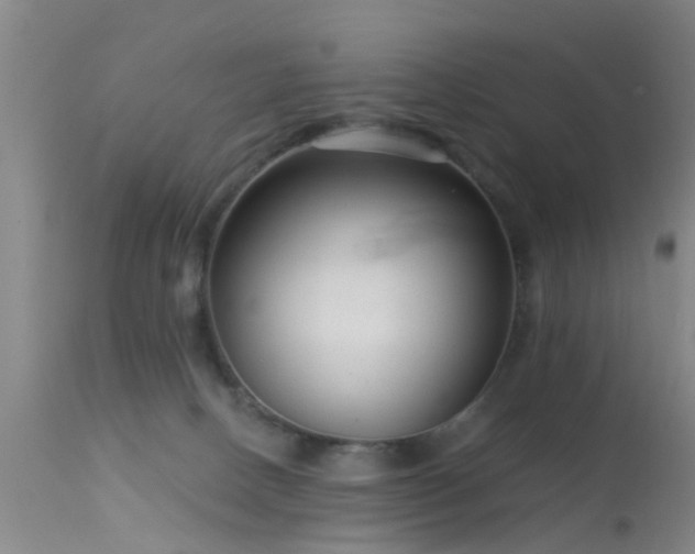 X0000113610082200909251153