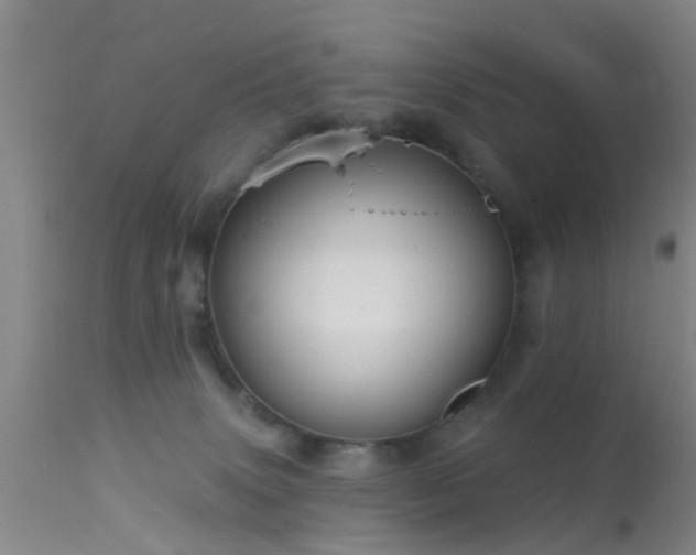 X0000113610083200909251153