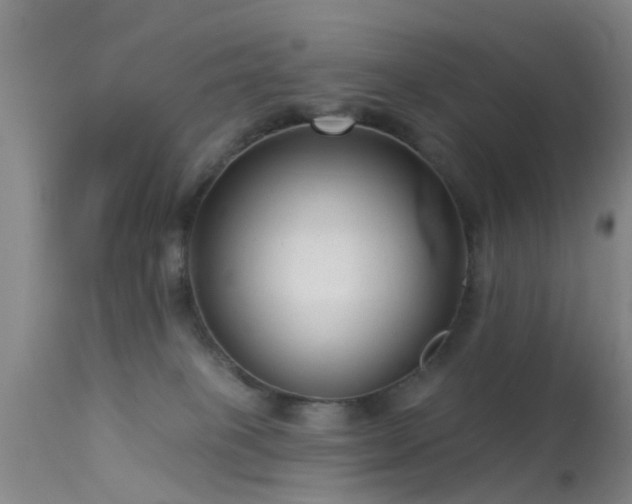 X0000113610085200909251153