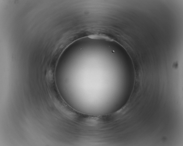 X0000113610086200909251153