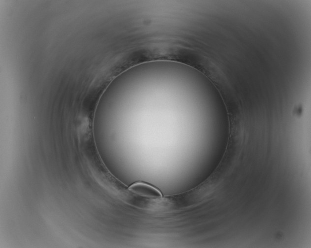 X0000113610087200909251153