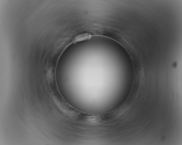 X0000113610088200909251153