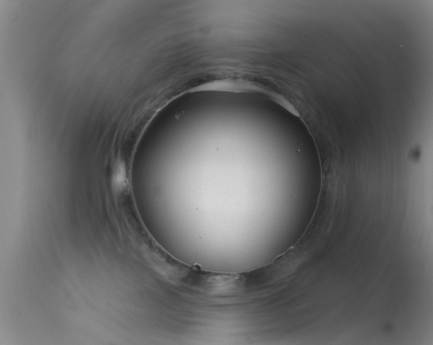 X0000113610089200909251153