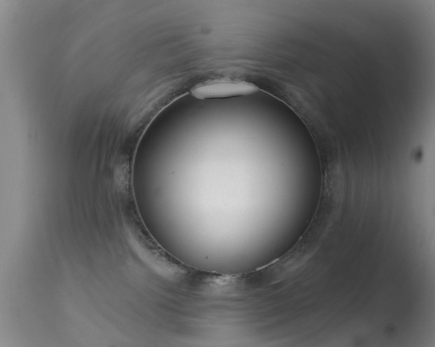 X0000113610092200909251153