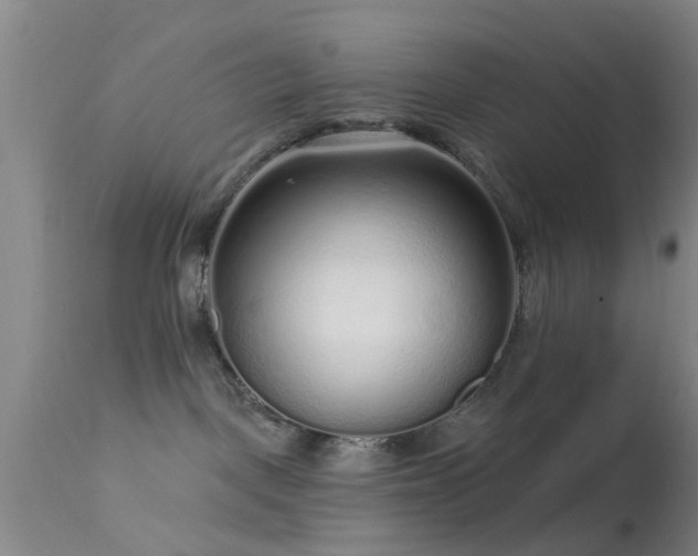 X0000113610093200909251153