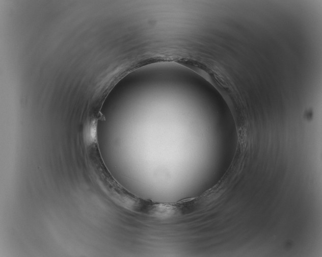 X0000113610095200909251153