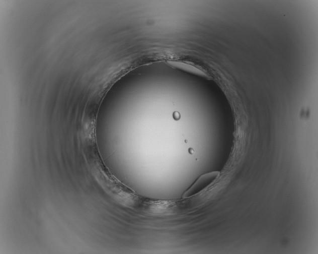 X0000113610096200909251153