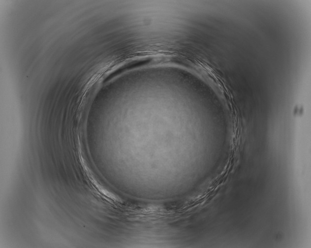 X0000113610097200909251152