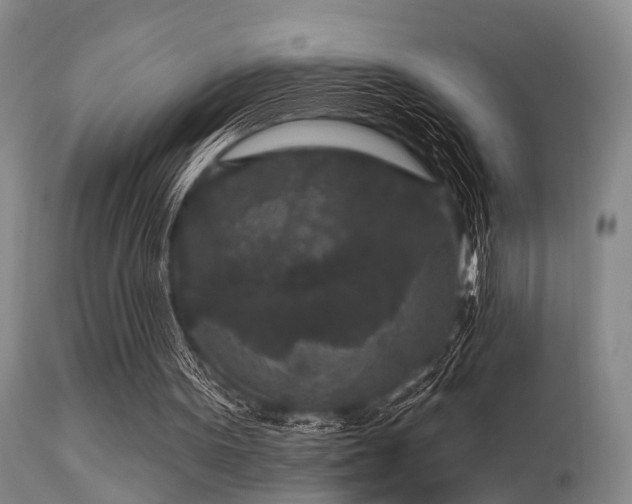 X0000113610099200909251152