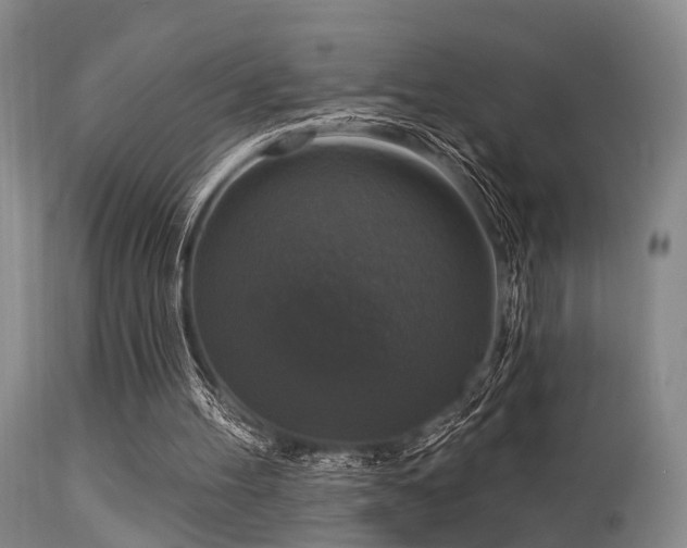 X0000113610100200909251152