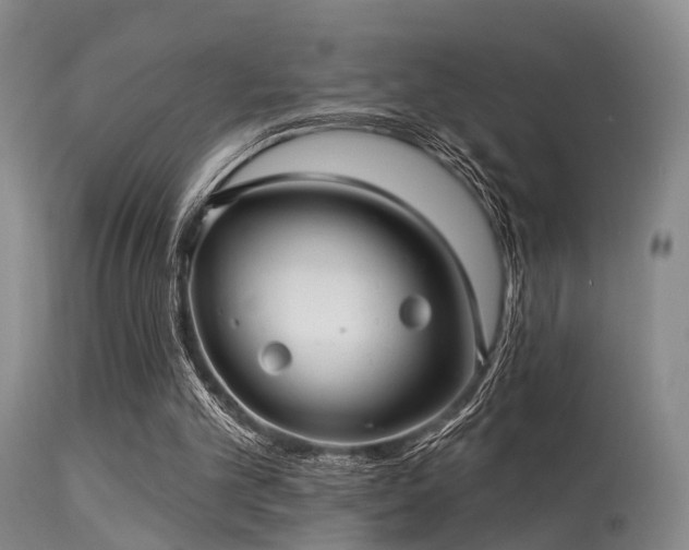 X0000113610101200909251152