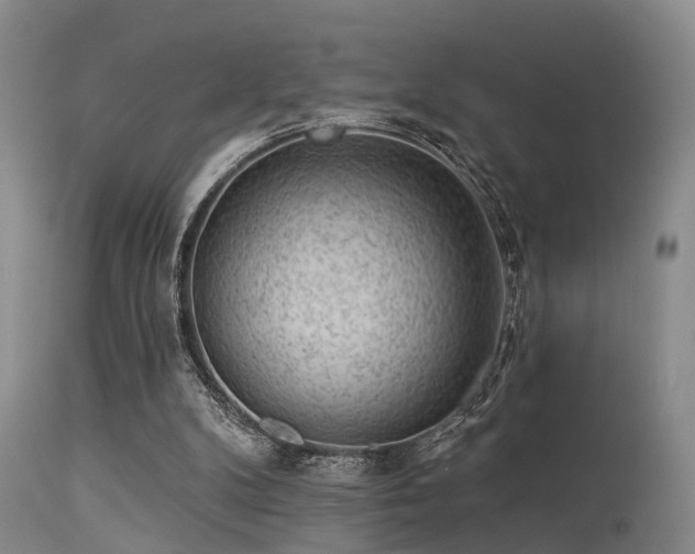 X0000113610104200909251152