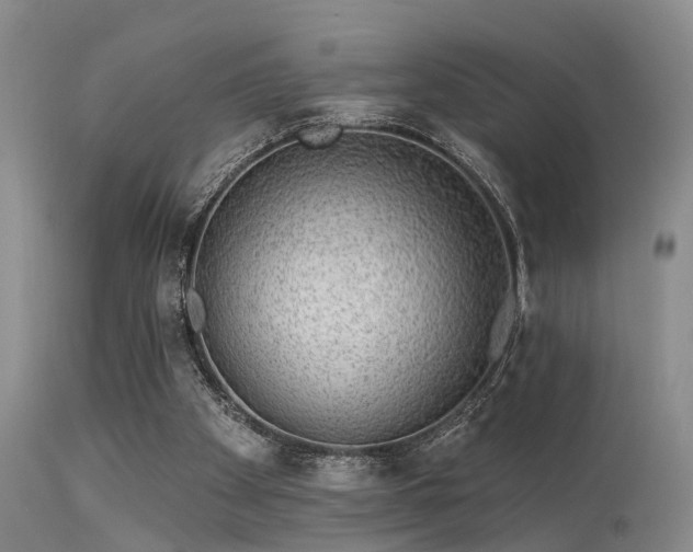 X0000113610105200909251152