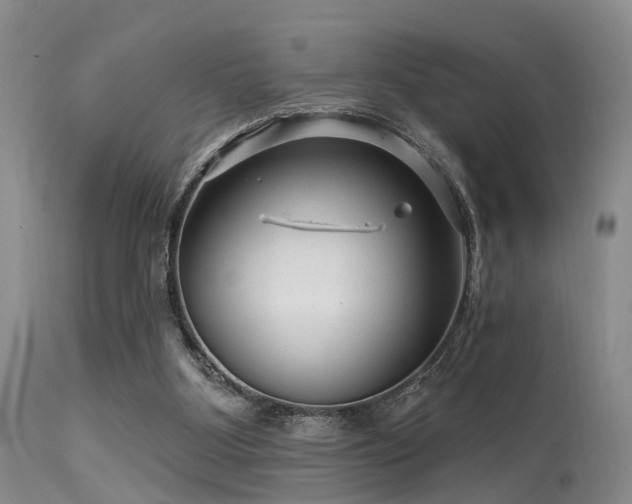 X0000113610107200909251152