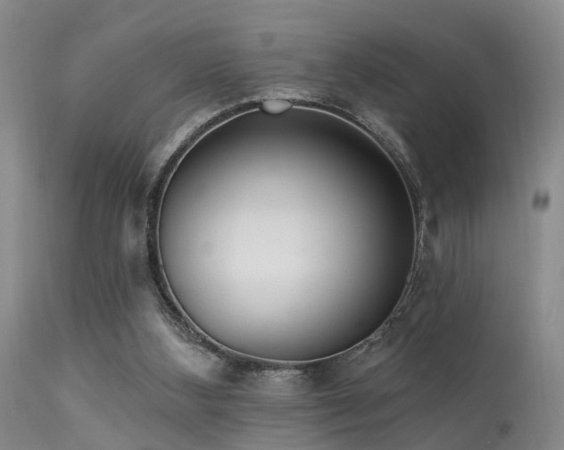 X0000113610108200909251152