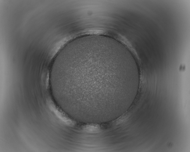 X0000113610110200909251152