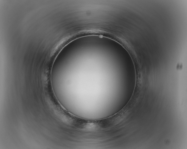 X0000113610111200909251152