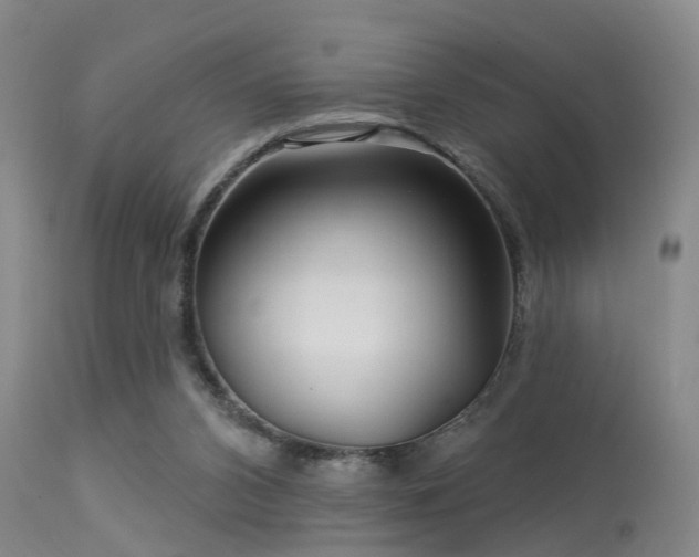 X0000113610112200909251152