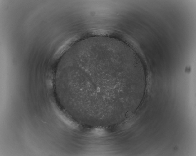 X0000113610114200909251152