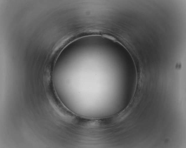 X0000113610116200909251152